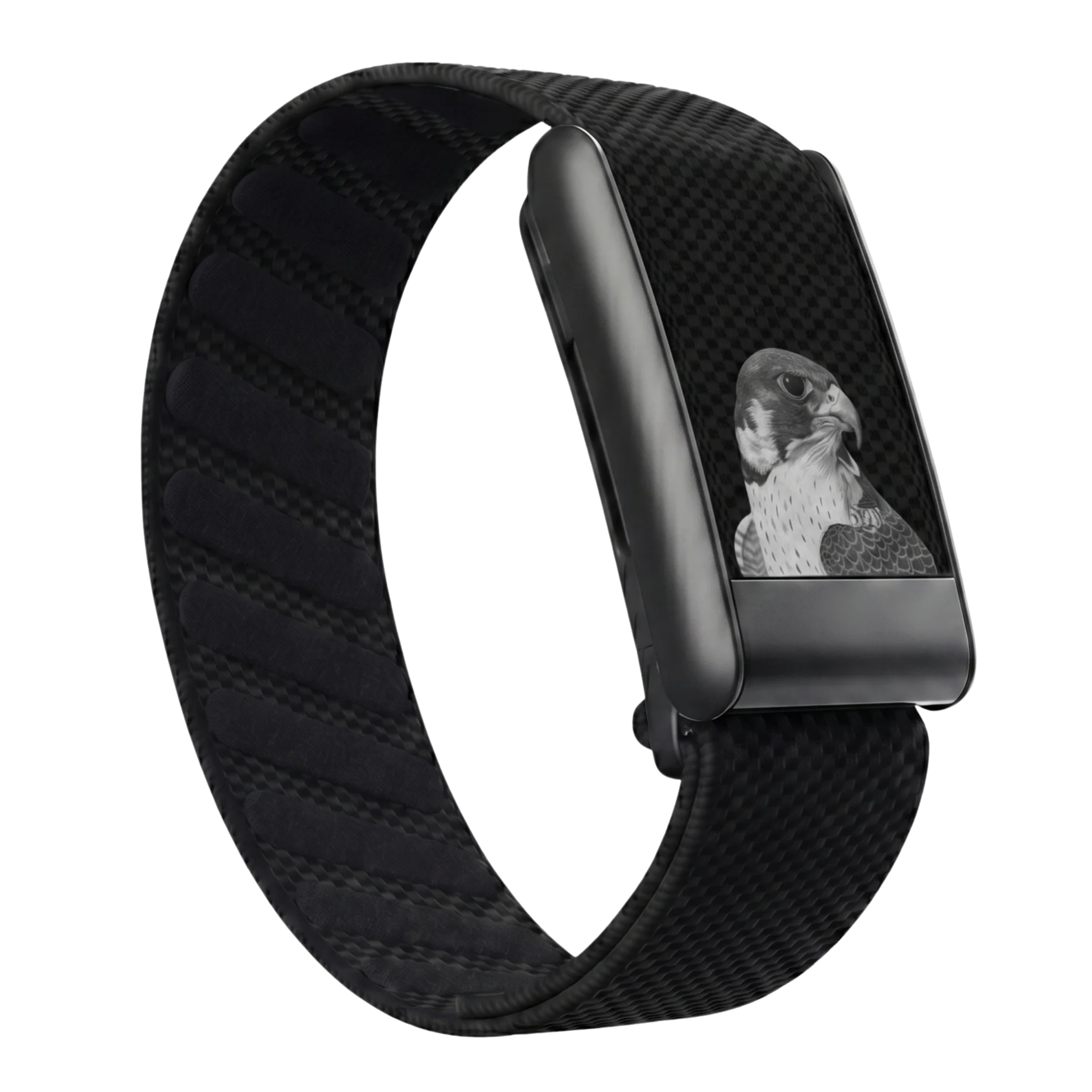 NOV12 Falcon Black