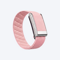 Pave Band · Blush — front view
