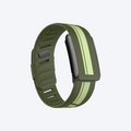 RaceStripe Band Forest Noir — front view