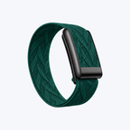Chevron Band Clover Noir — front view