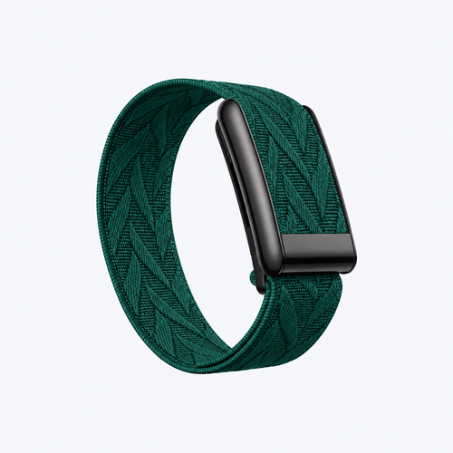 Chevron Band Clover Noir — front view