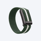 StripeLoop Band Field Noir — front view
